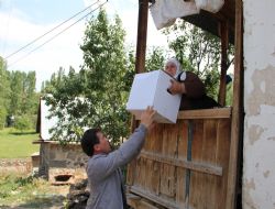 AK Partililer köy yollarında